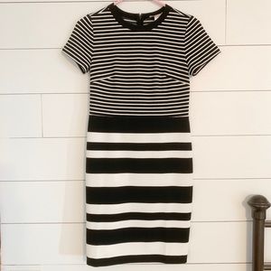 LOFT Form fitting dress, NWT